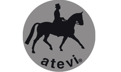At Evi